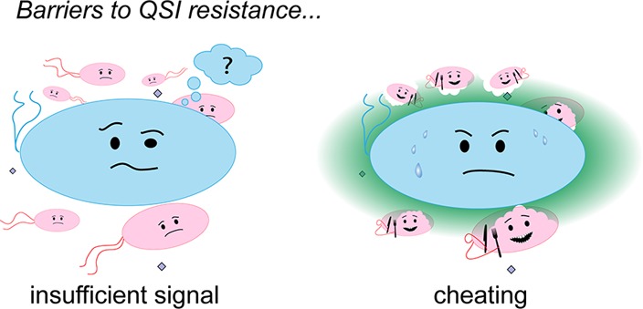Competition studies reveal two major barriers that will preclude the spread of resistance to quorum-sensing inhibitors in bacteria
